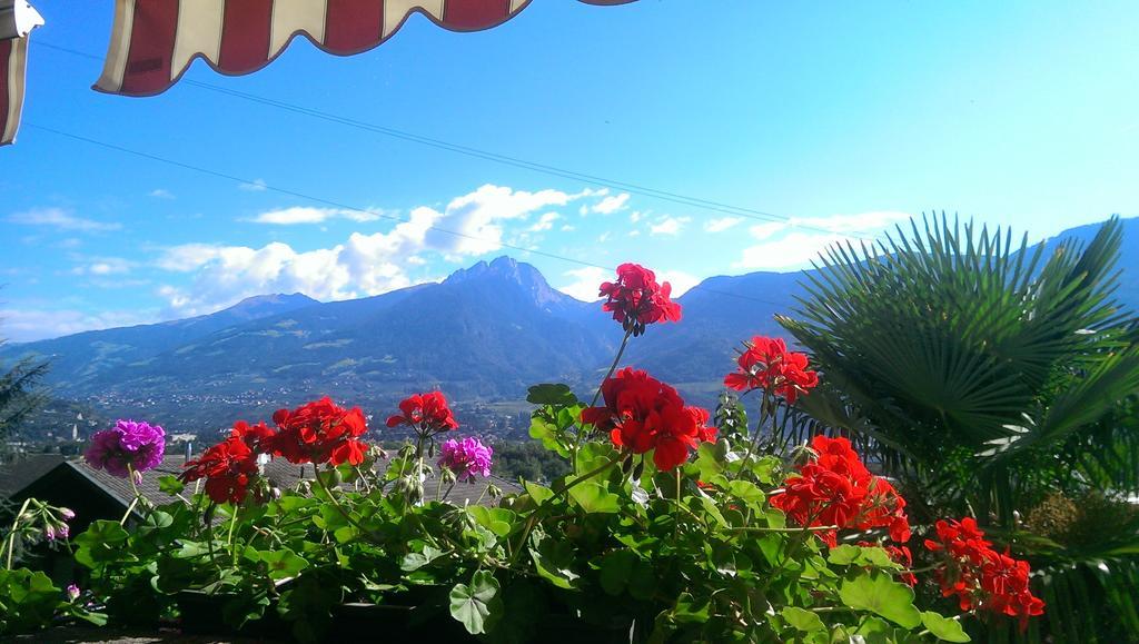Hotel Eden Guesthouse マルレンゴ 部屋 写真